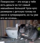 memy-i-smeshnye-kartinki-13.jpg